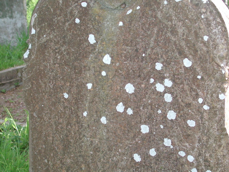 Old grave in Murragh Cemetery.jpg 493.5K